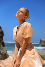 Load image into Gallery viewer, Look 11: Champagne Organza