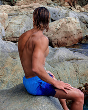 Charger l'image dans la galerie, Underwater Corals