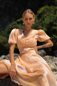 Look 11: Champagne Organza